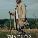 Знахарь Постер